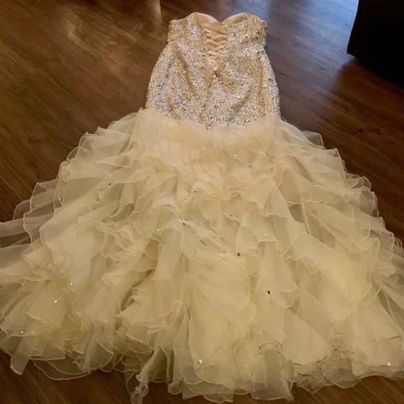 SOLD Champagne Iridescent Sequin Wedding Dress - Picture 6 of 8